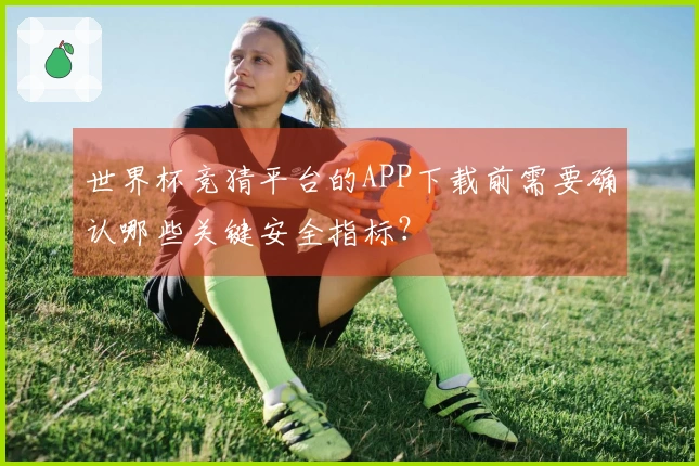 世界杯竞猜平台的APP下载前需要确认哪些关键安全指标？