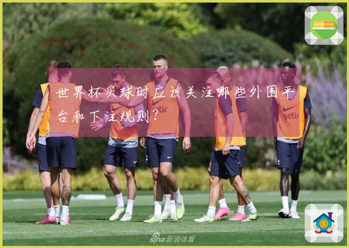 世界杯买球时应该关注哪些外围平台和下注规则？