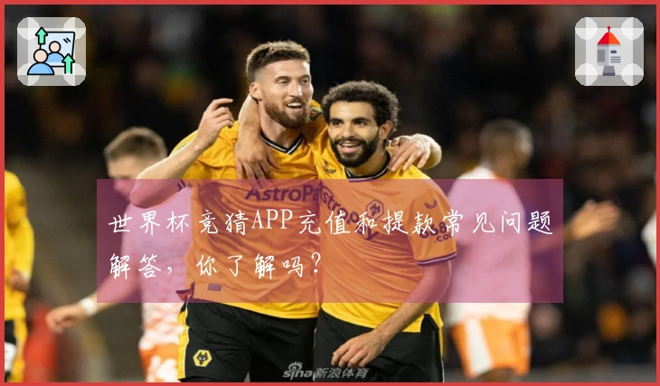 世界杯竞猜APP充值和提款常见问题解答，你了解吗？