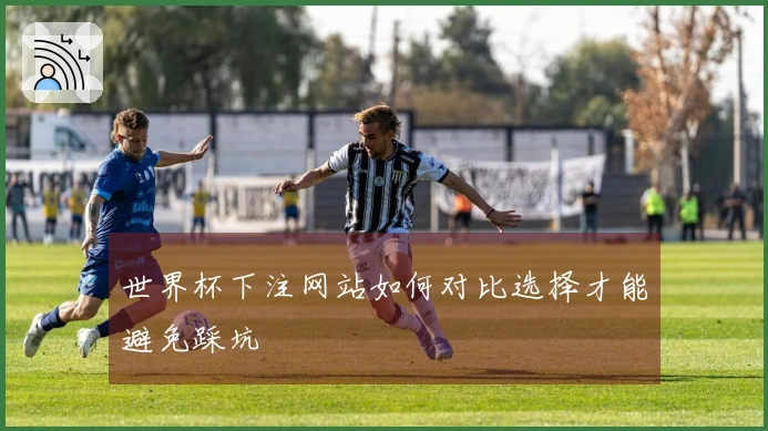 世界杯下注网站如何对比选择才能避免踩坑
